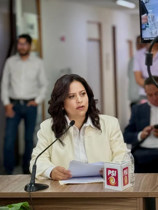 Jessica Pérez Aké, representante de PSI ante el INE, durante la instalación del Consejo Local del INE en Puebla