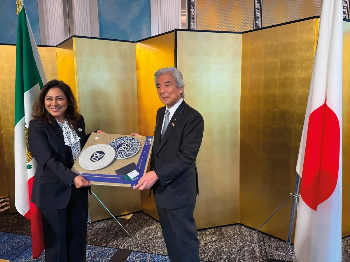Japón - Informe Legislativo