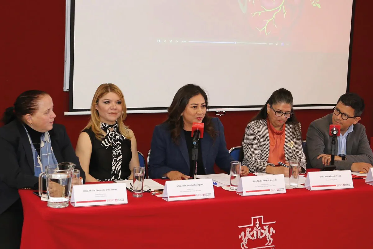 Sólo por ayudar - Informe Puebla